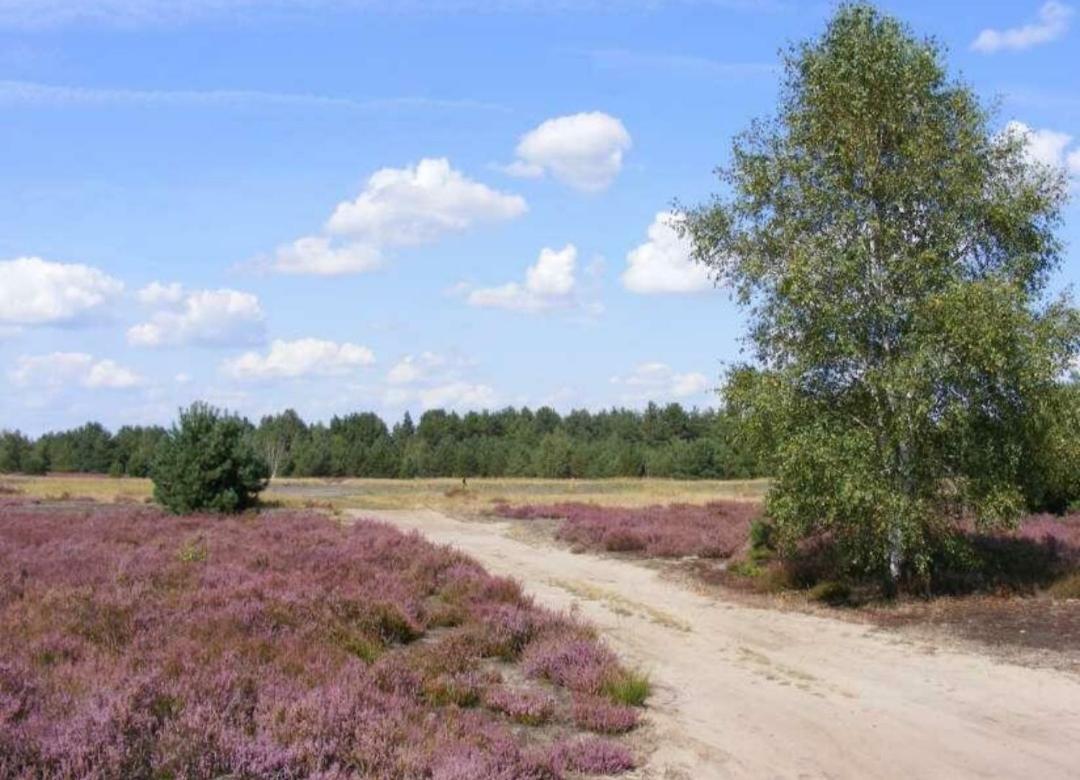 Chalet Schoonhoeve Schoonloo Экстерьер фото